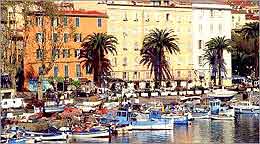 Ajaccio Tourism - Corse-du-sud