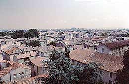 Avignon Tourism - Vaucluse