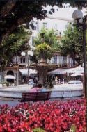 Cannes Tourism - Alpes-maritimes