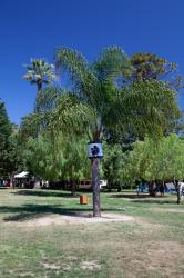 Parc carol de roumanie