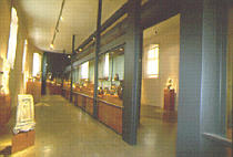 Museum of mediterranean archeology